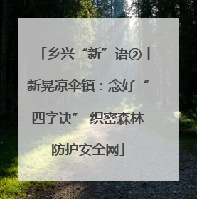 乡兴“新”语②丨新晃凉伞镇：念好“四字诀” 织密森林防护安全网